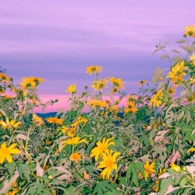 银河国际官网app下载手机app下载